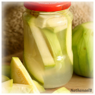 ferments and preserves